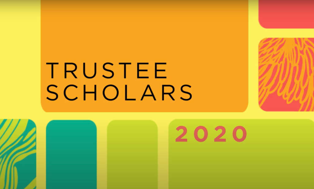 Ringling’s 202021 Trustee Scholars & Nominees Ringling College