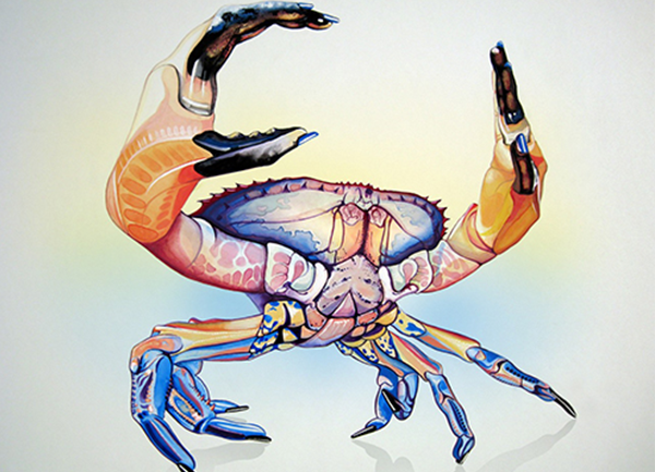 portfolio example
