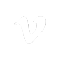 vimeo icon