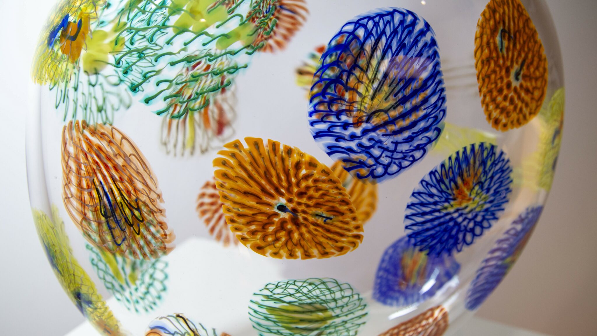 exhibition programming and events roll out in 2023 at Ringling