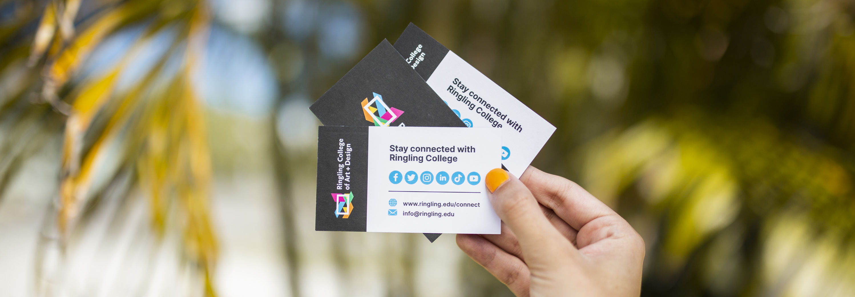 a woman's hand holding three business cards