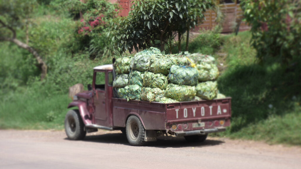 An old red Toyota truck loaded with bags of unknown green substances stopped on the side of a road.