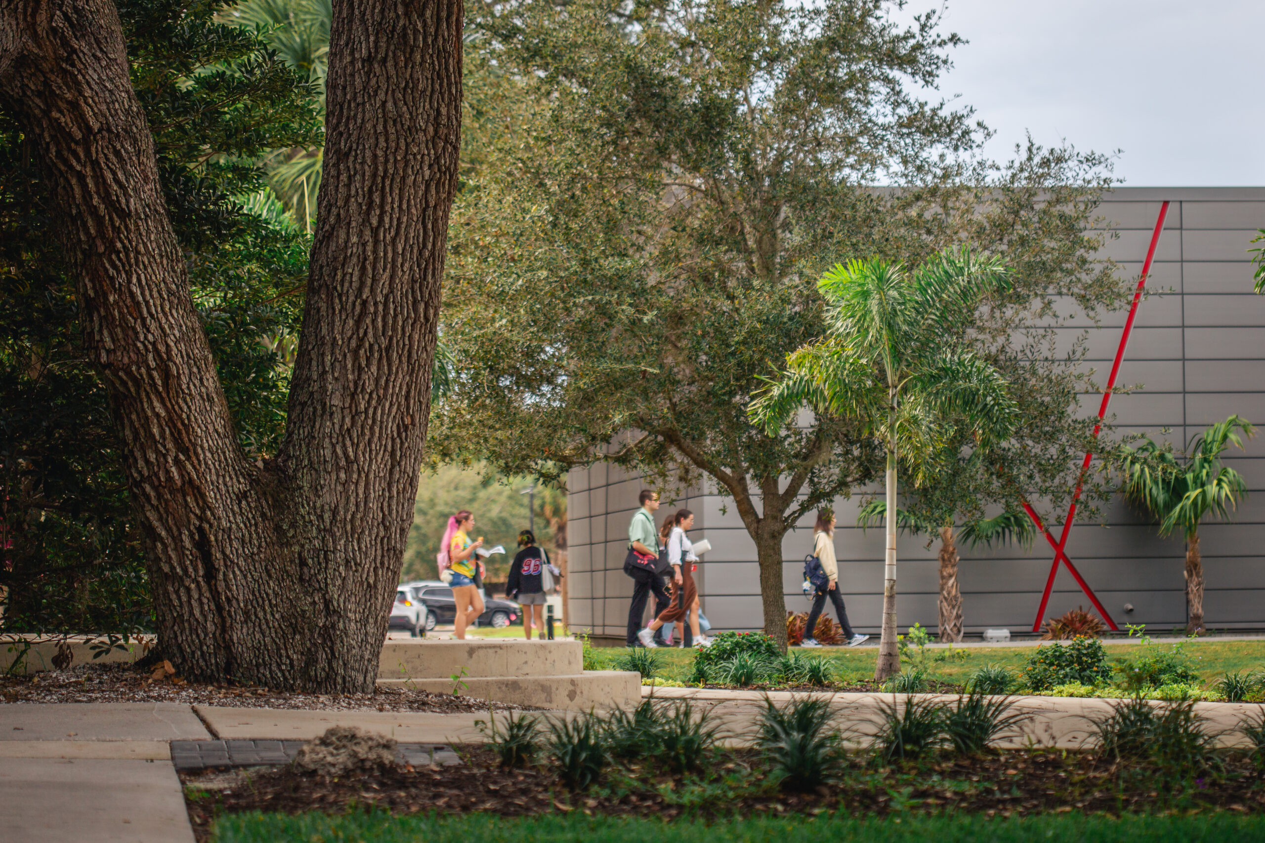 LEED Certified building on Ringling campus.