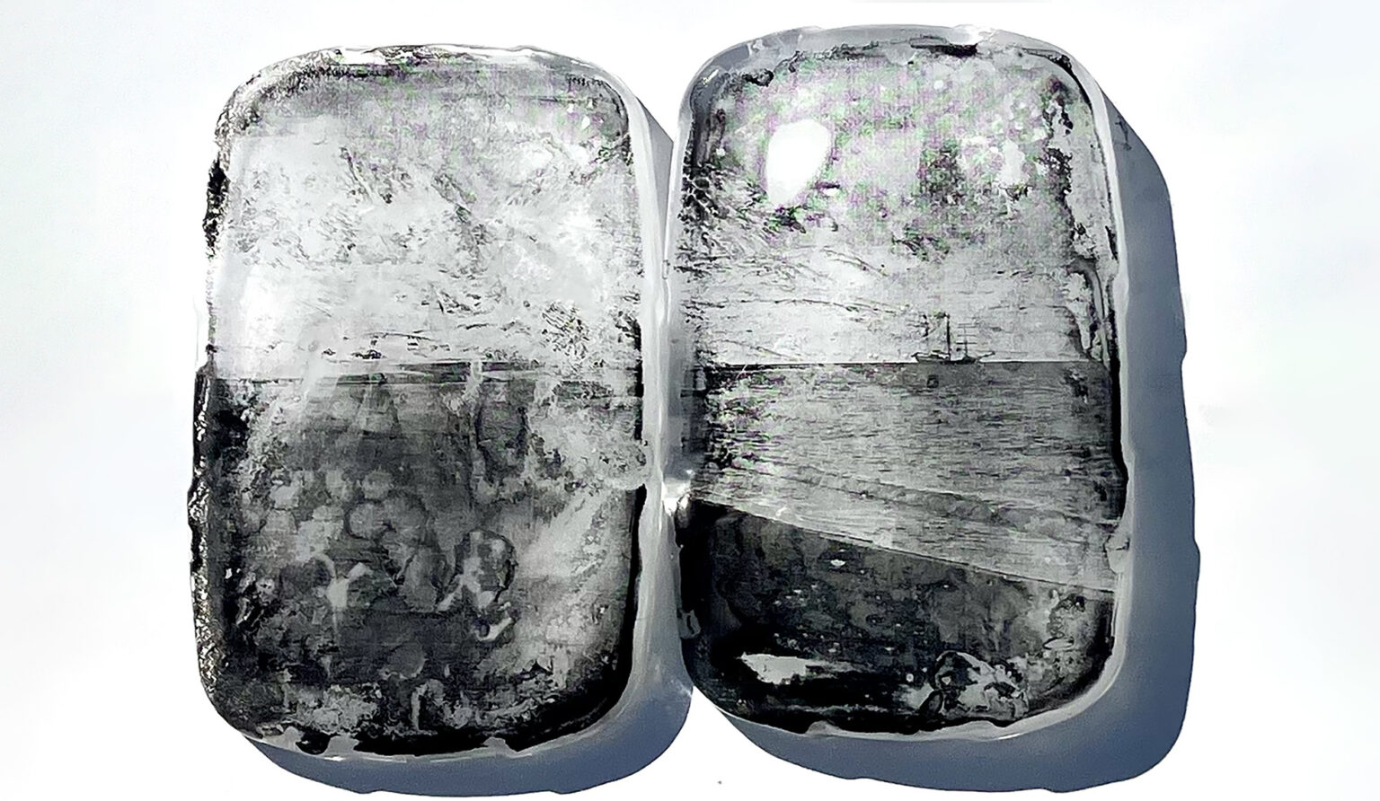 Sarasota Art Museum and Ringling College faculty, staff, and alumni