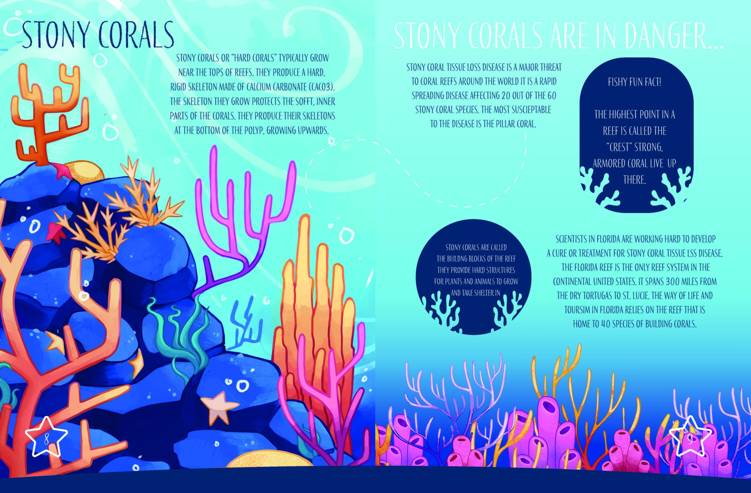 Ringling launches Environmental Studies minor to foster future environmental leaders