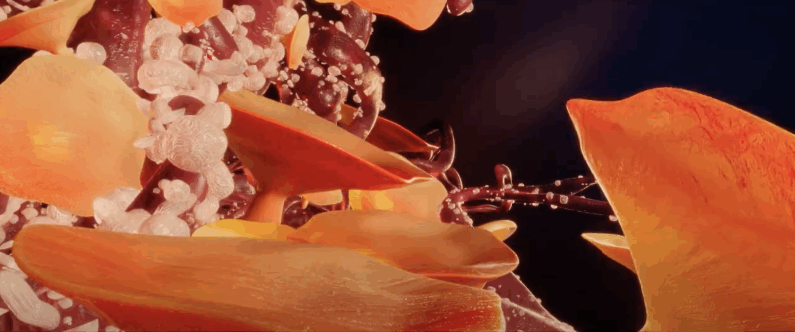 Faculty member’s sonic craft wins Gold at the Telly Awards