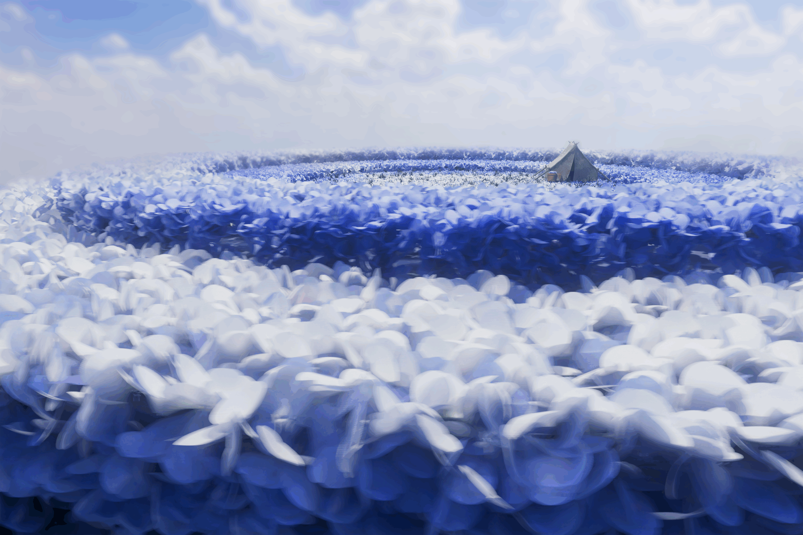 Motion Design grad headed to NYC with momentum and ambitions