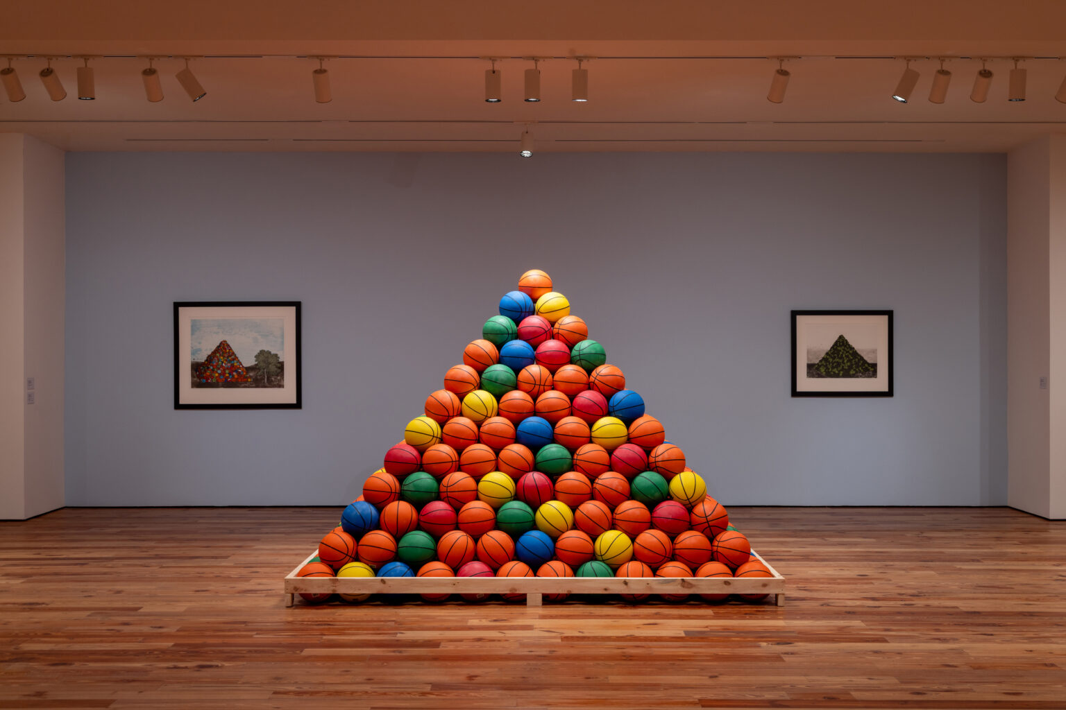Sarasota Art Museum to donate 650 basketballs from installation by ...