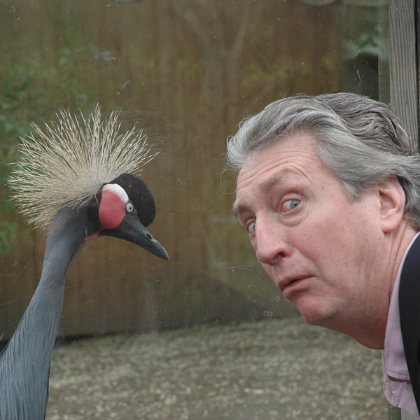 Mifflin Lowe profile picture