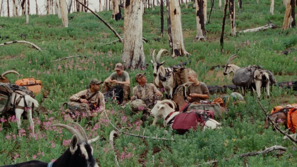 The Voyage Out film still