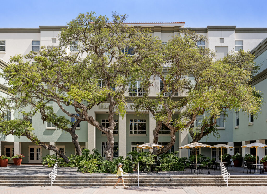 A courtyard with a large tree in front of a large blue building.