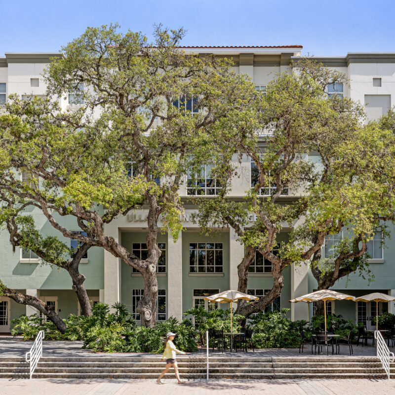 A courtyard with a large tree in front of a large blue building.
