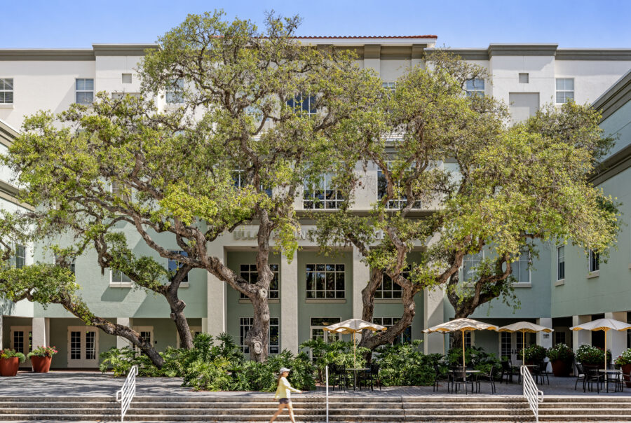 A courtyard with a large tree in front of a large blue building.
