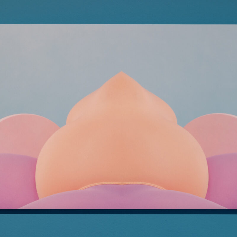 large photograph with pink and orange abstract shapes.