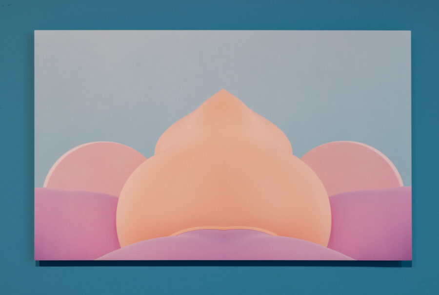 large photograph with pink and orange abstract shapes.