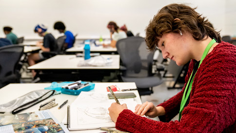 Wildlife Illustration image