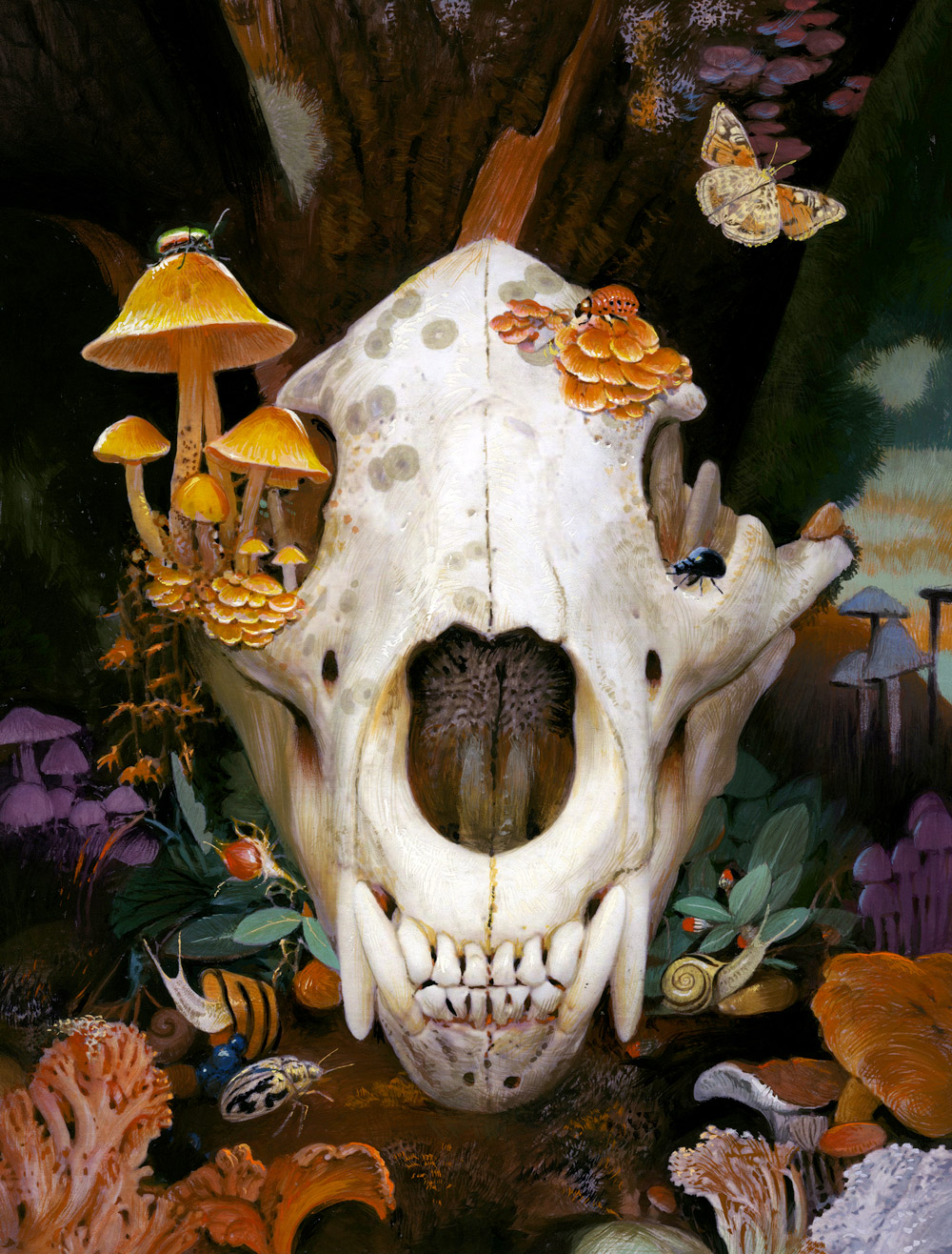 Detailed illustration of an animal skull surrounded by mushrooms, insects, and forest elements in a surreal natural setting