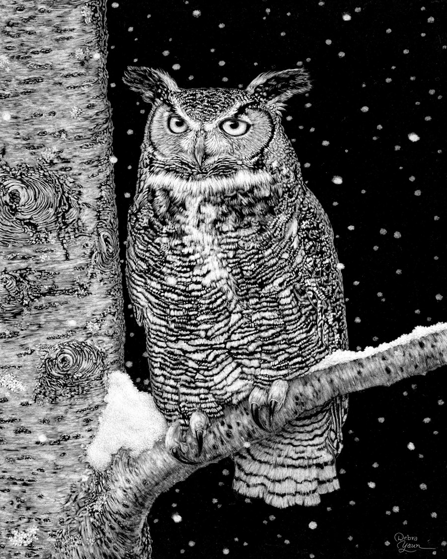 Detailed black-and-white illustration of an owl perched beside a tree in a snowy night scene