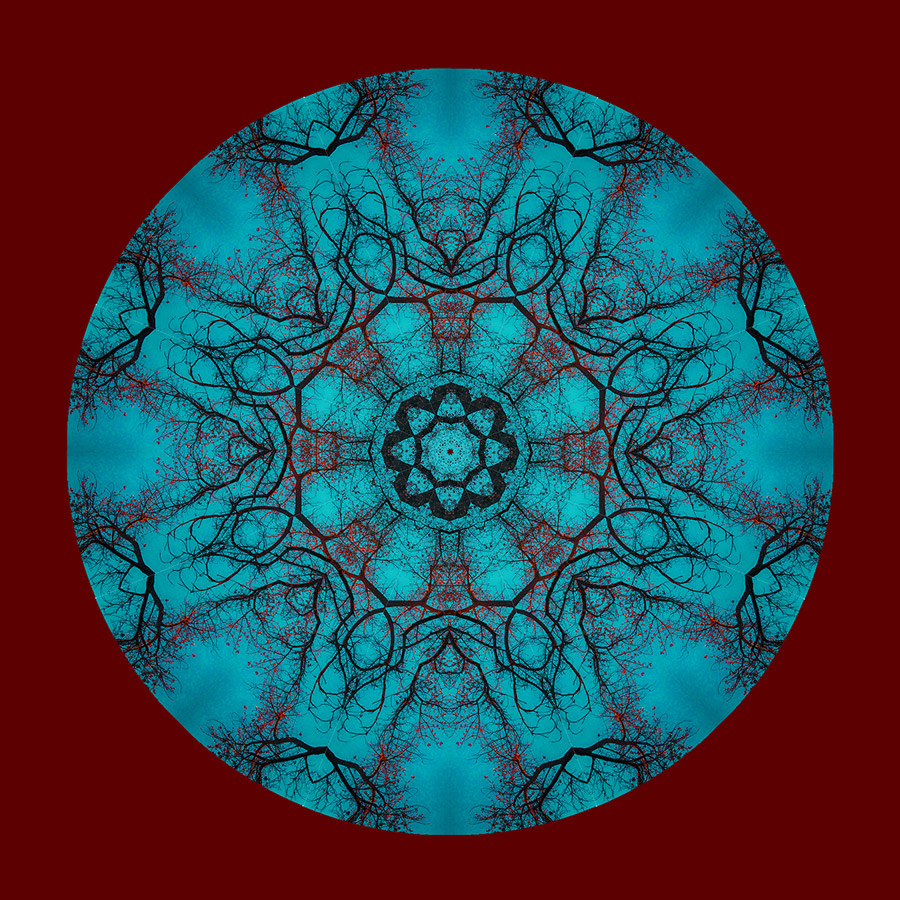 Circular mandala artwork featuring symmetrical tree branches forming intricate patterns in blue and red tones
