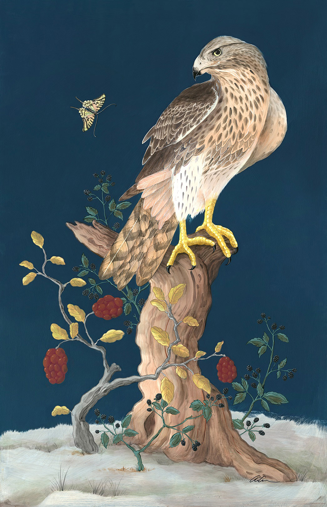 Illustration of a hawk perched on a tree branch with berries, leaves, and a butterfly against a deep blue background